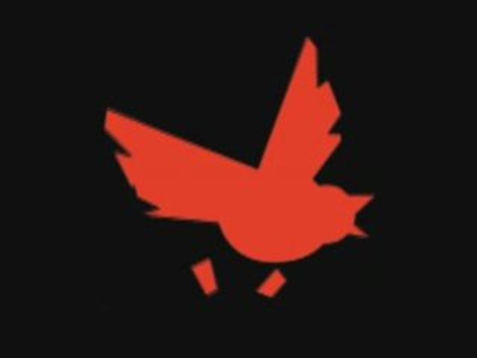 Birdy Nam Nam Phone Game (La Boite Noire)