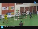 Nîmes/Handball : L'USAM gagne face à Toulouse
