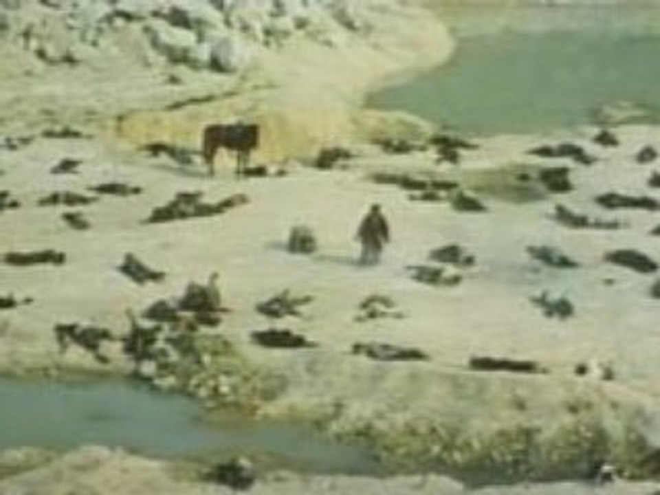 Dans la Terre de L'Ombre 7