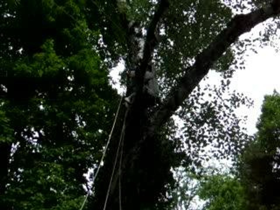 La tyrolienne d'Angèle