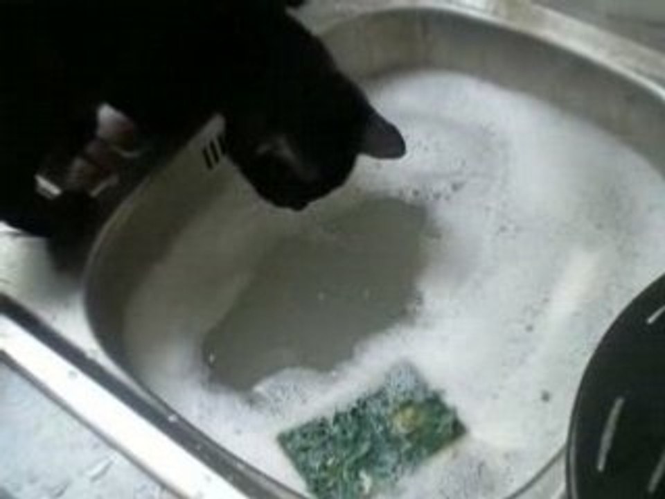 Gribouille et la mousse