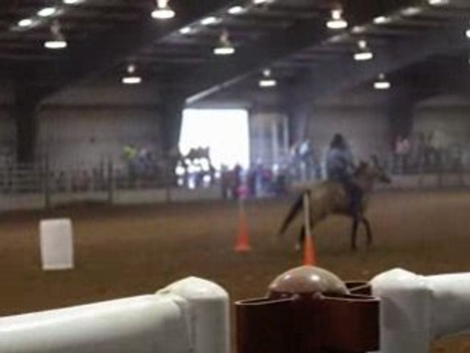 Tulsa State Fair