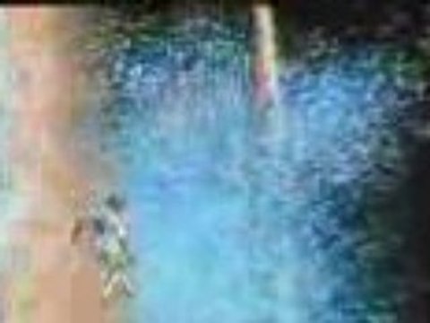 Zidane mdr mdr zidane