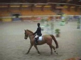 Ucky de Logerie Selle Français Moorsele Winter 2003-2004