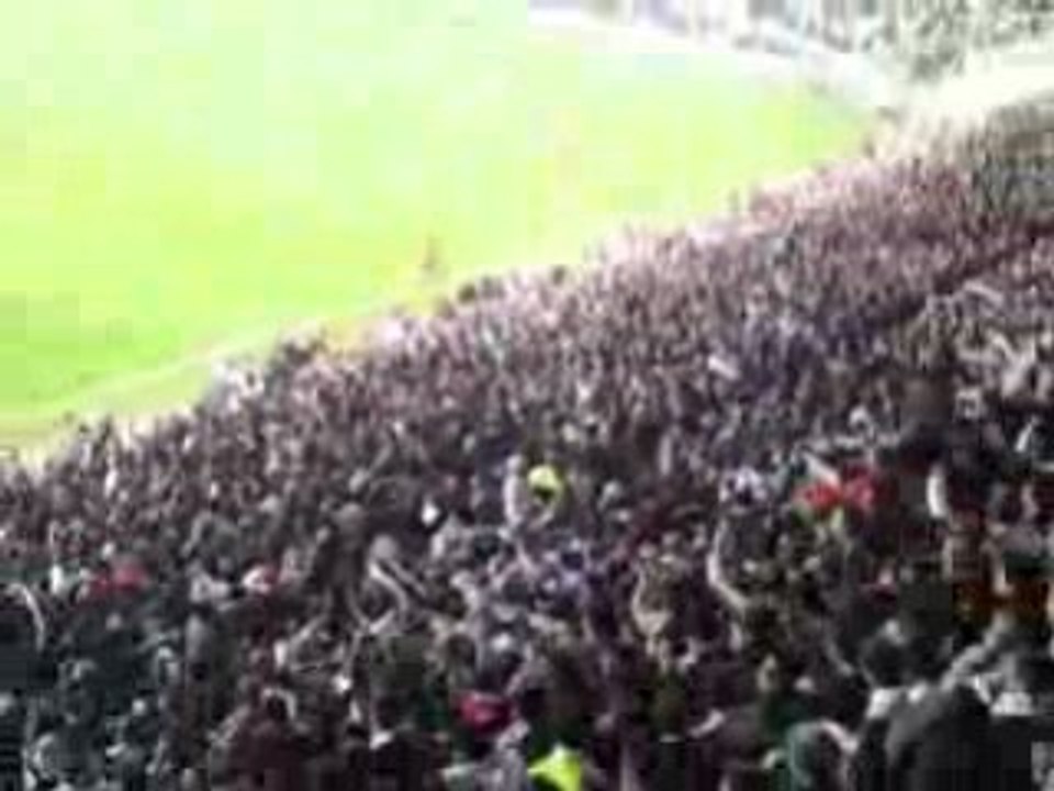 Besiktas Supporters çArşı Musalla Taşı