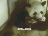 Lun and Cubbie 10-23-08