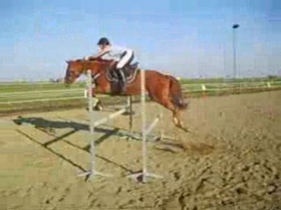 Entrainement obstacle de Cayane