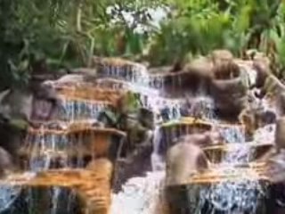 The Springs Resort and Spa