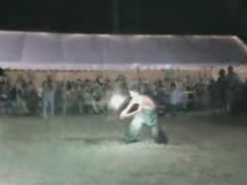 fete Medievale de Picquigny