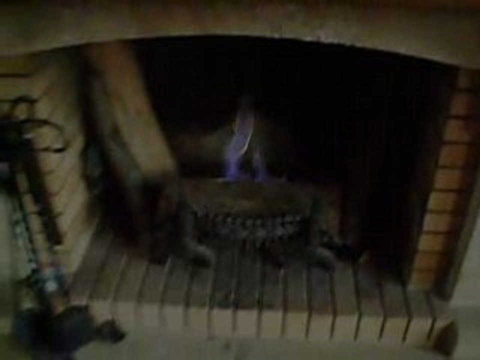 cheminée bio ethanol