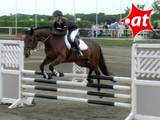 Jennifer Brennand, Springreiten, Kottingbrunn (2008-040)
