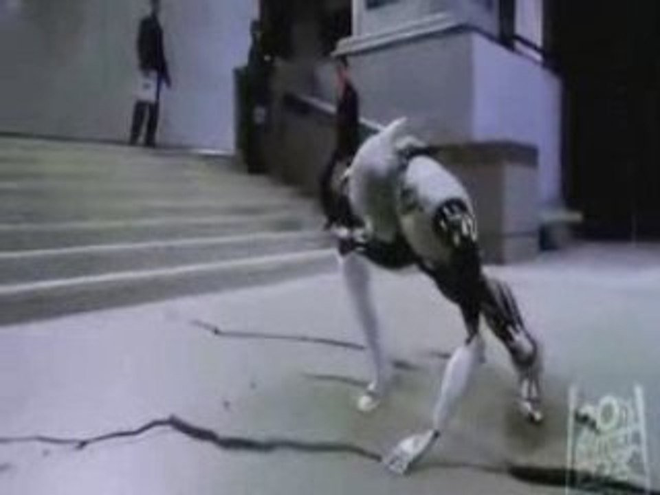 bm