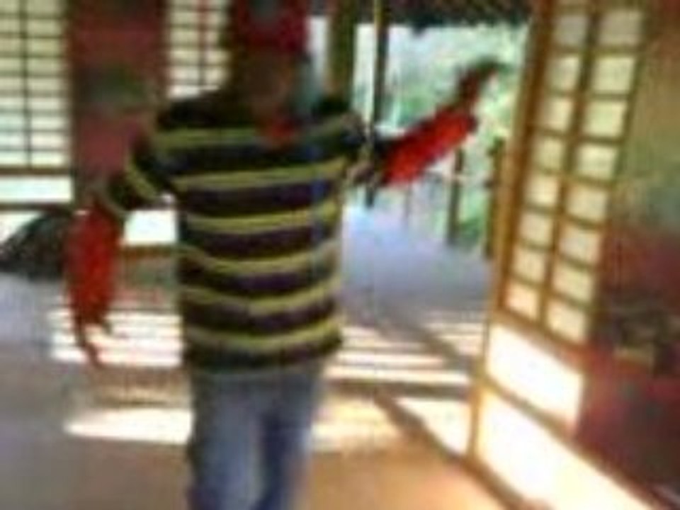 ptit dedicasse a mickeal