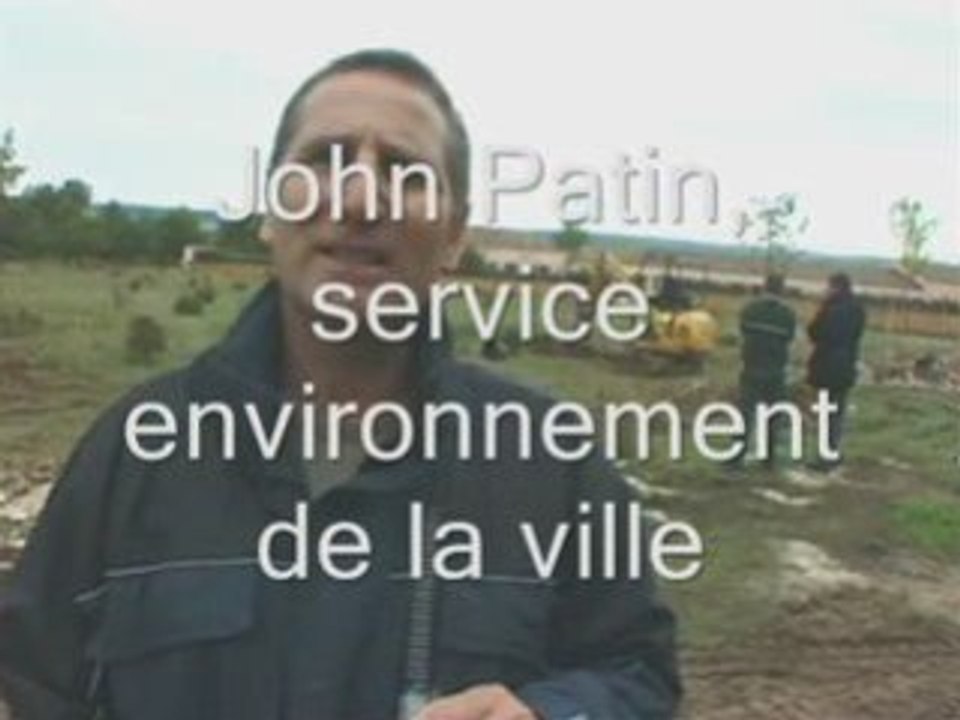 Plantation colline_0001