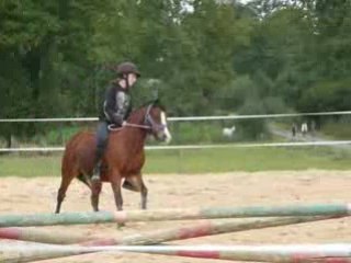 Poulain 091