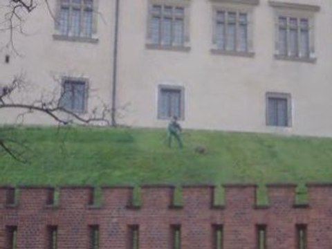 La tonte sportive au Wawel de Cracovie - plus près