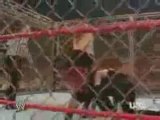 Jeff Hardy vs Umaga steel cage