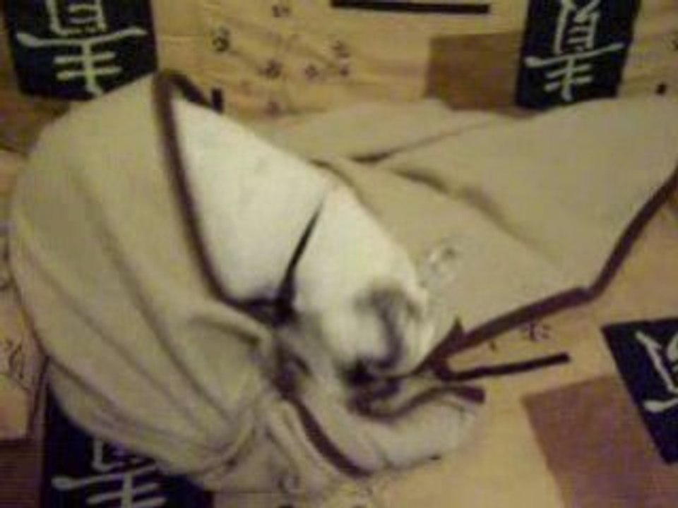 Mon jack