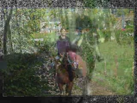 Octobre23 2008 1ere balade avec indiana dans le bois