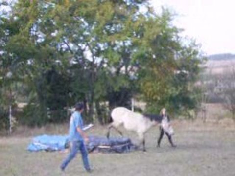 19 10 08 Jeu des embuches