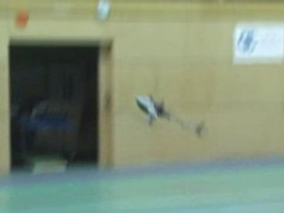 Anthony 3d Rc helicoptere suite :)