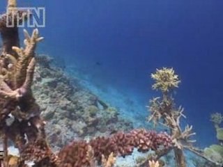 Urgent action needed if UK's to meet renewable energy target