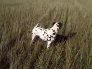 ils sont passés où ?????????