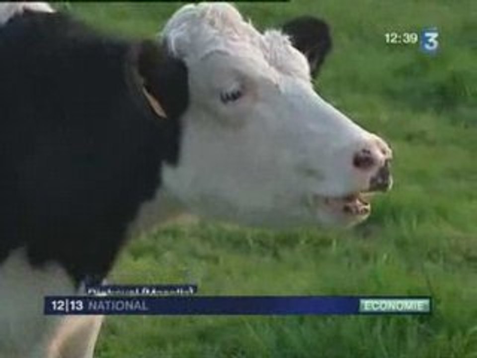 Les éleveurs, vaches à lait des supermarchés