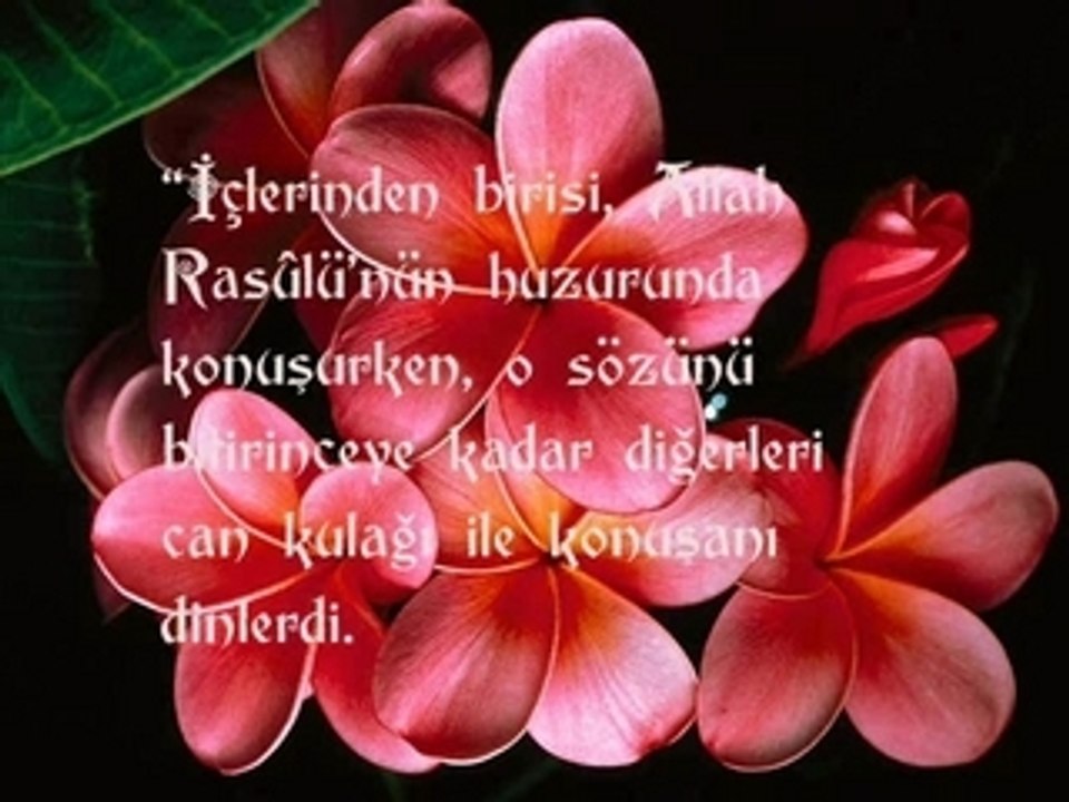 Efendim
