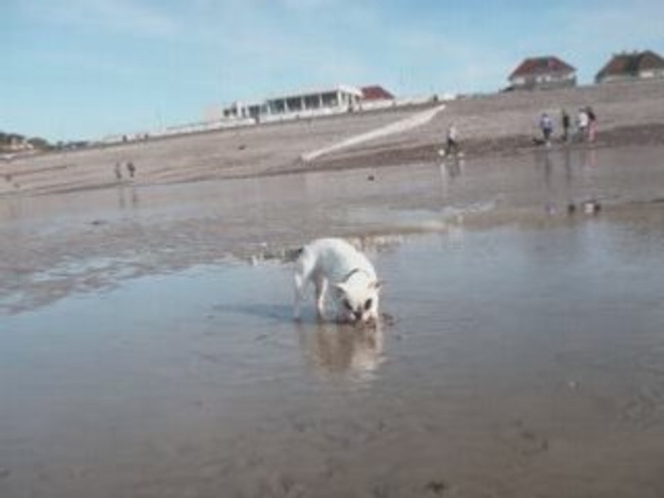 Rea à plage