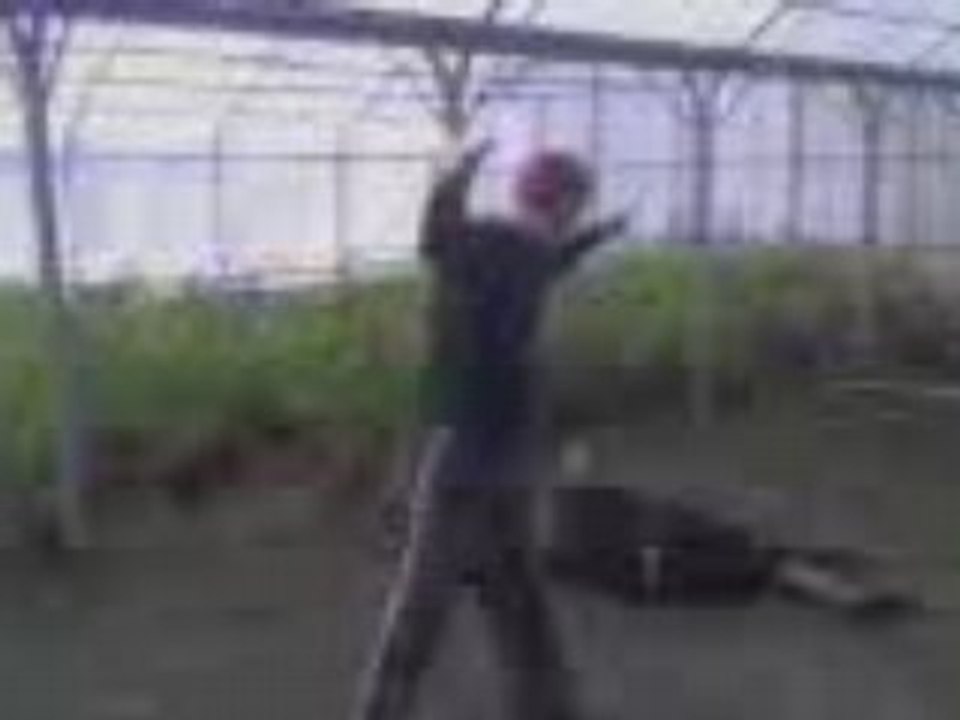 REMI  vs ARNO