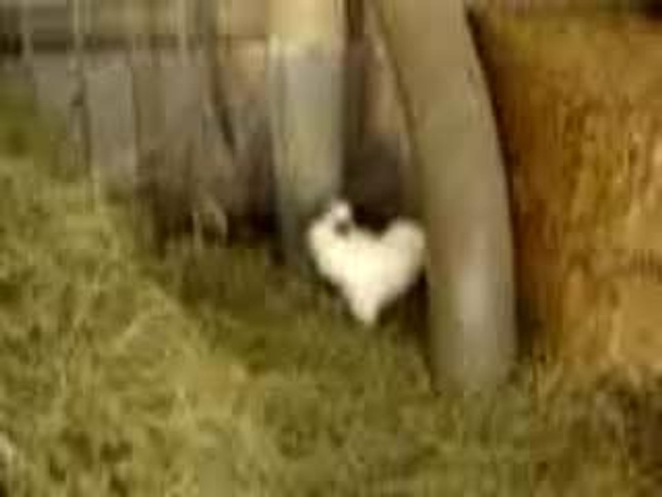 Bonetcha* en duo avec Bonny T.