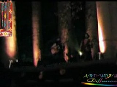 à la cime des arbres (7) festival des hêtres 2008