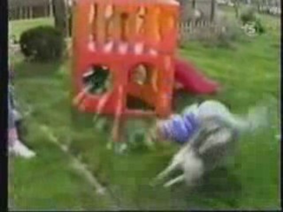 Vidèo gag - Animaux