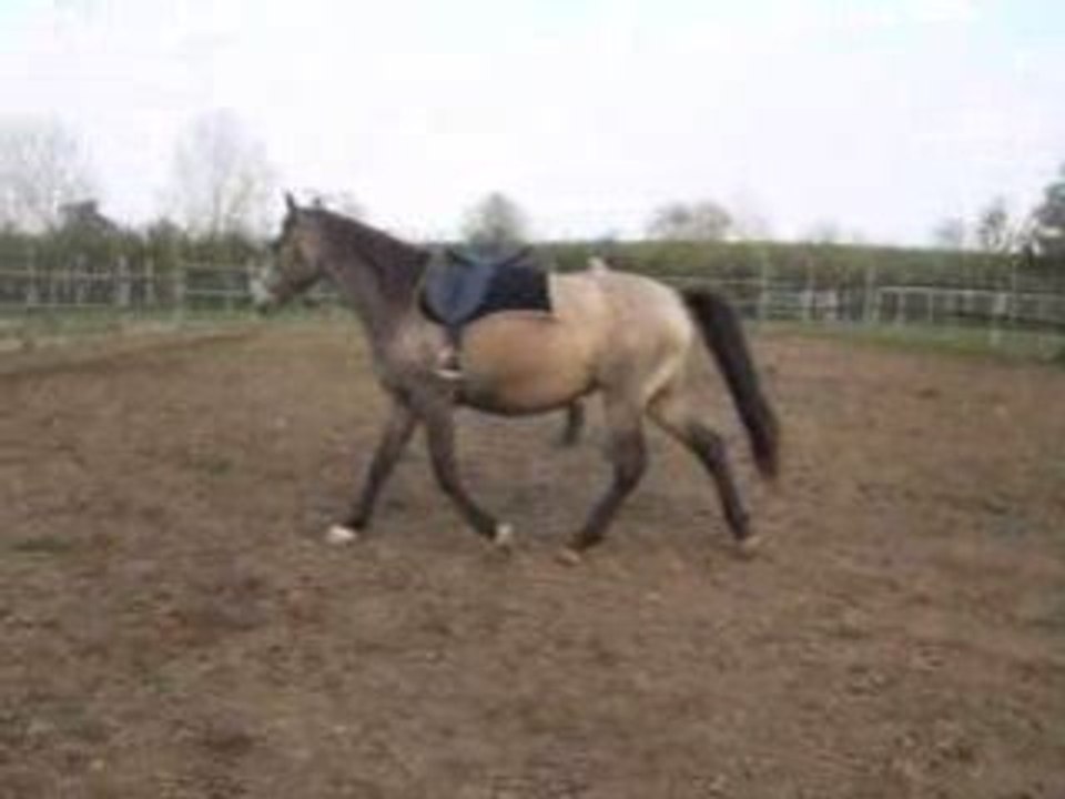 Den, retour au travail après 9 ans au pré...