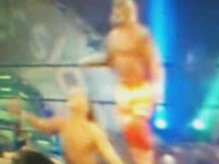 hulg hogan vs  shawn michaels