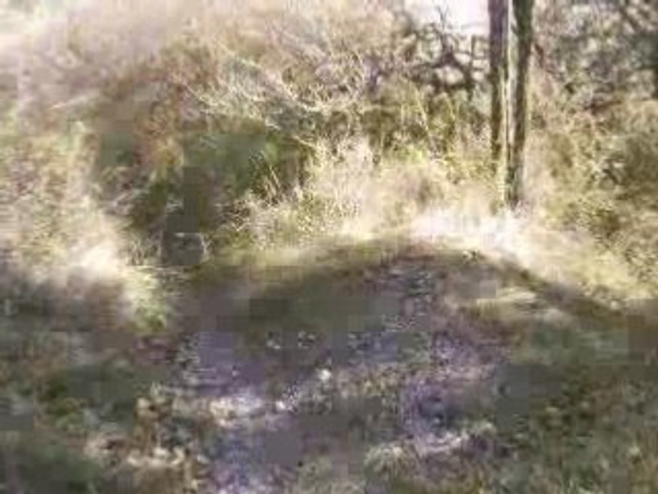 SV_A0087