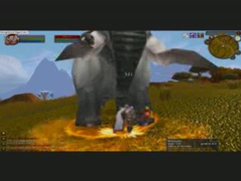 paladin T4 ...
