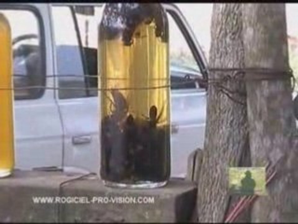 Le Vietnam sur La RPV