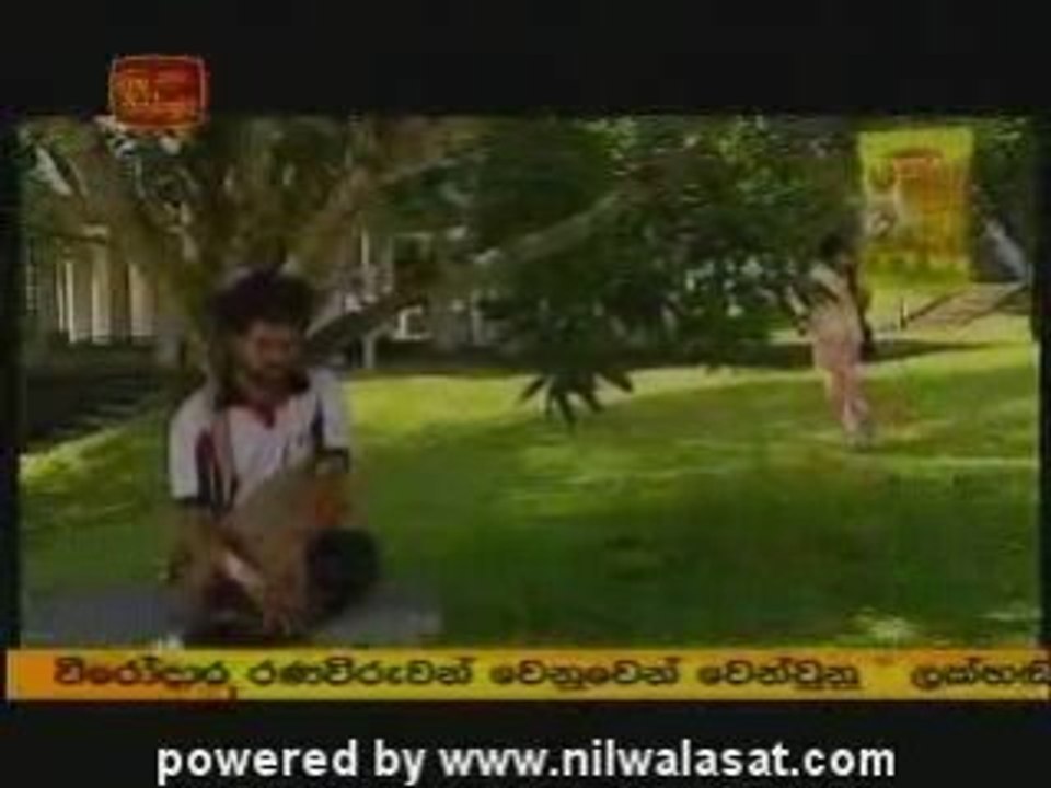 Nilaha10