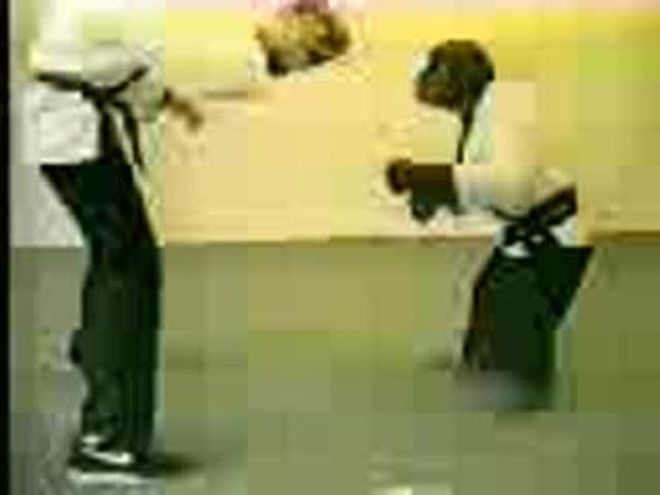 karate chimp funny fight amazing