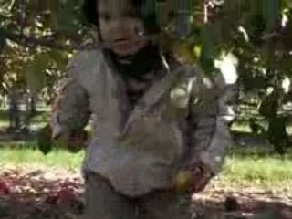 baisses la tête Bilou...