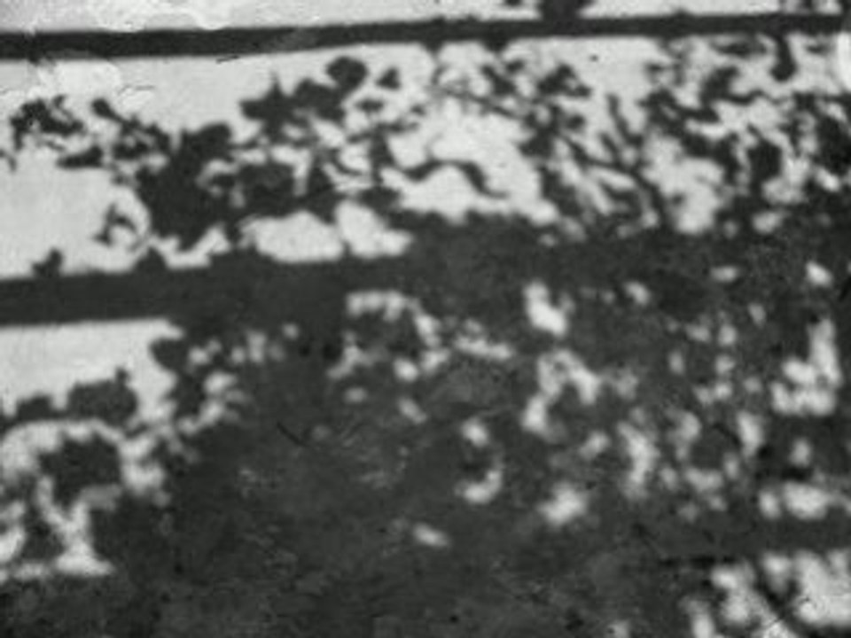 Bnw