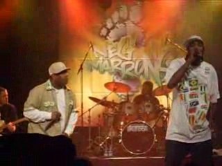 les neg'marrons A peu de choses près concert