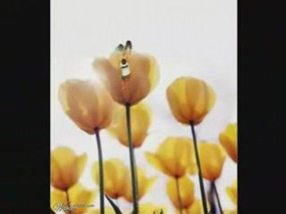 Images modifiées