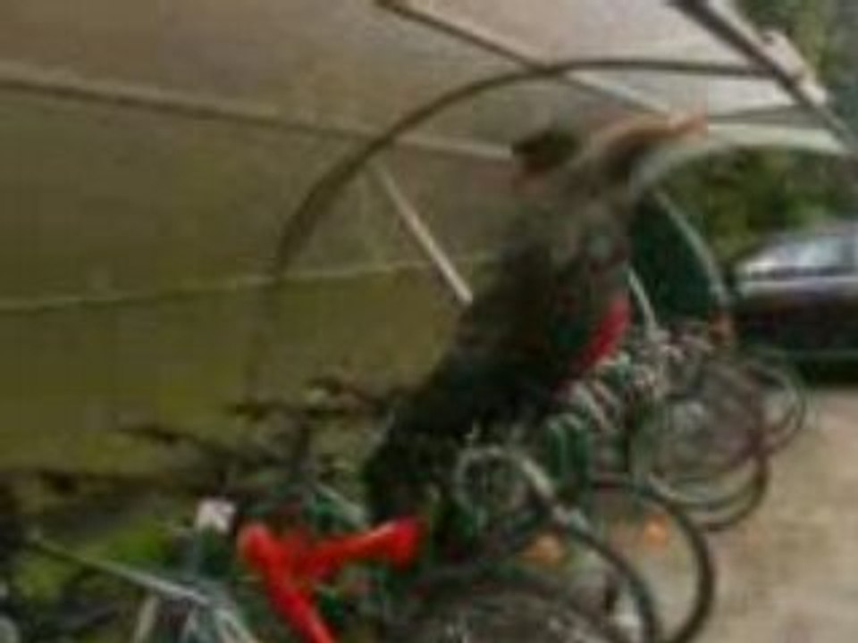 benoît qui monte sur son vélo