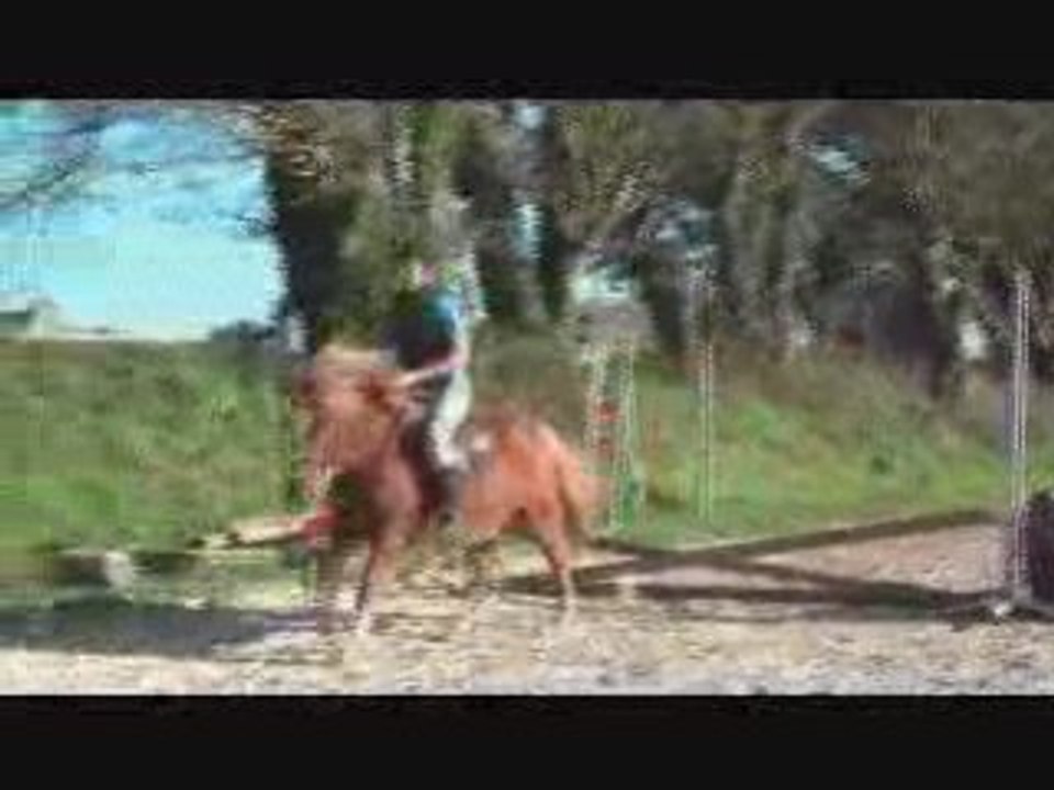 Raidersaut1