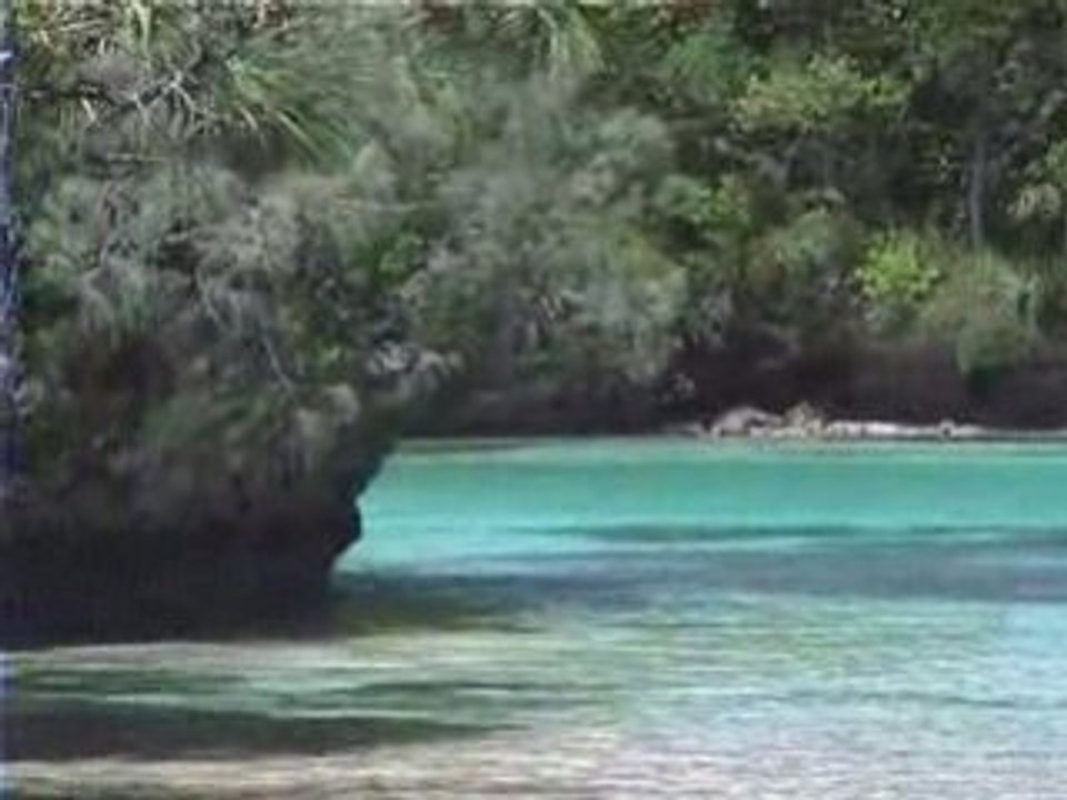 Baies de Upi et de Oro