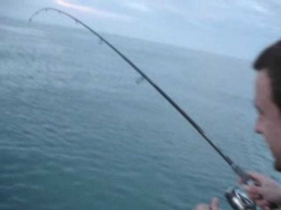 MOV00409