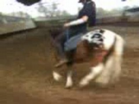 Loustic/Dragibus Elo avc mon rire Xd